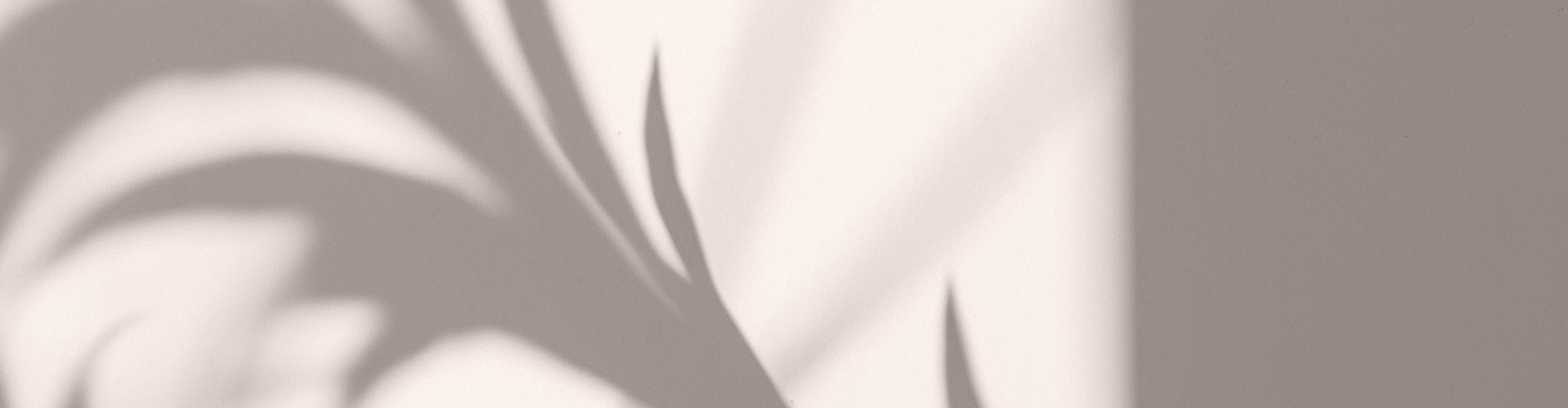 Product Enterprise Category Image